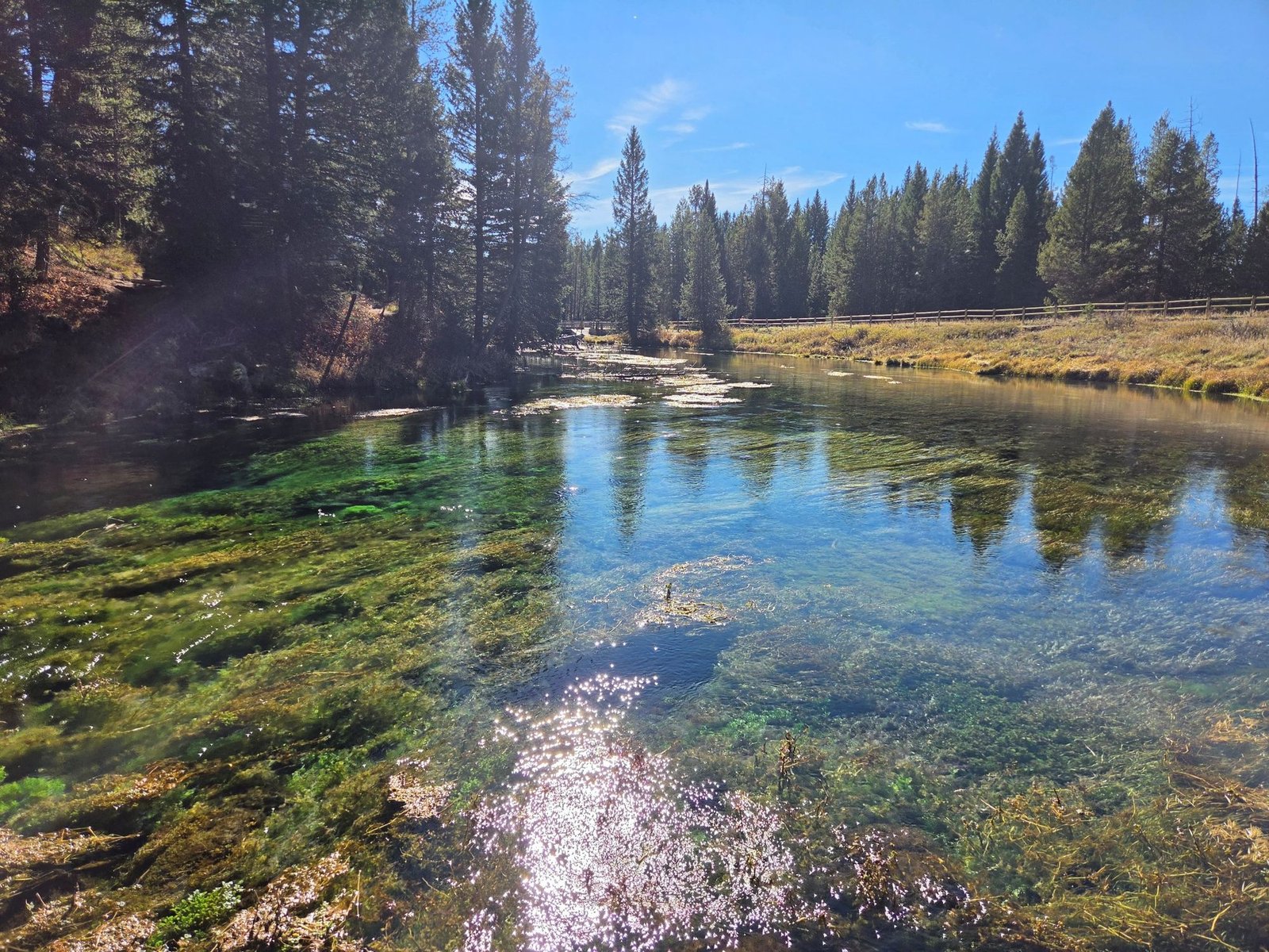 Clear spring water over green plants at Big Springs, Island Park