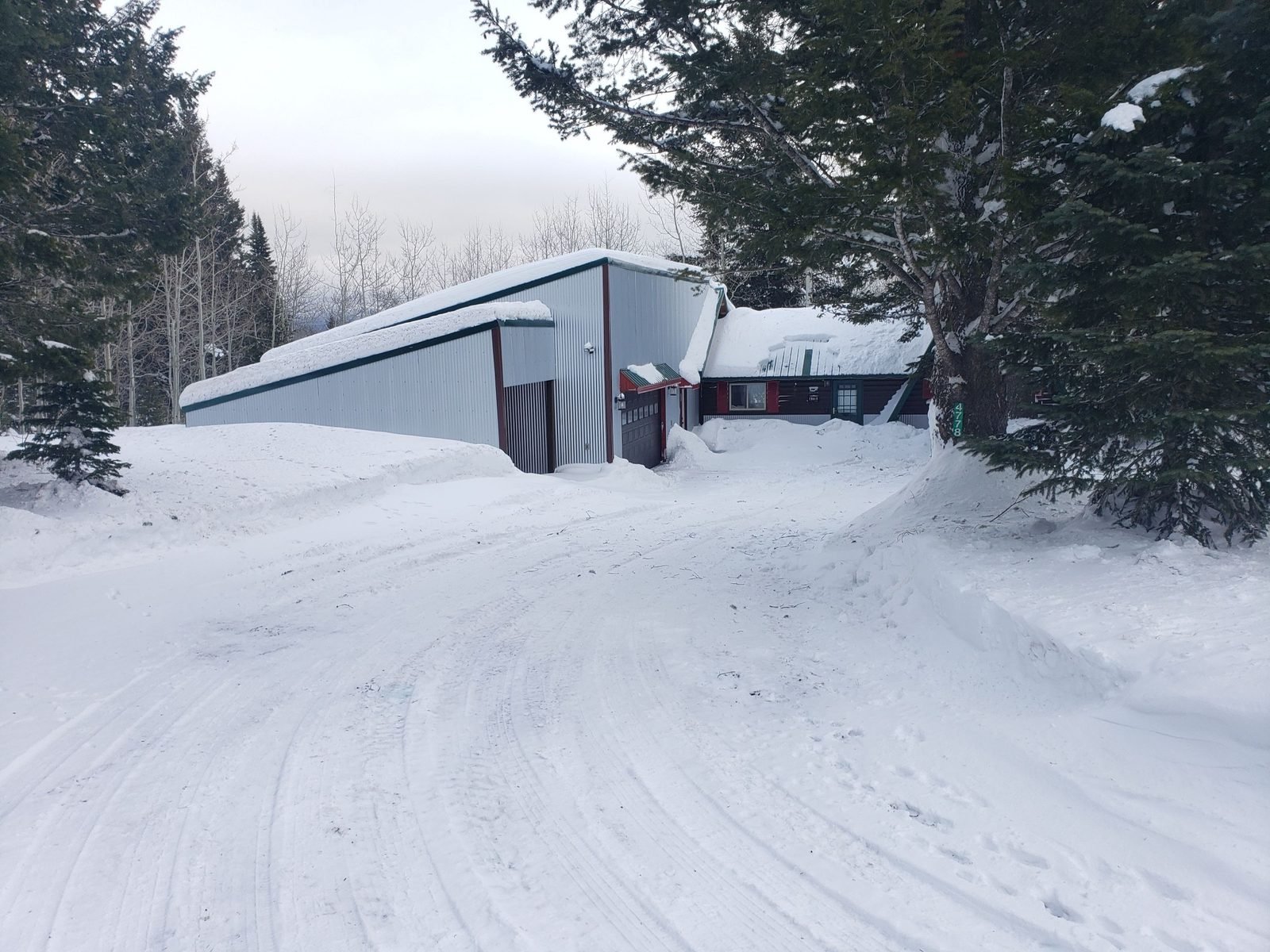 Lazy Moose Lodge in winter, with a plowed driveway and snow on the pines